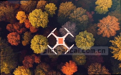 问题精准直达答案
自助查询秒级响应
智能助手全天守候
操作指引即用即会